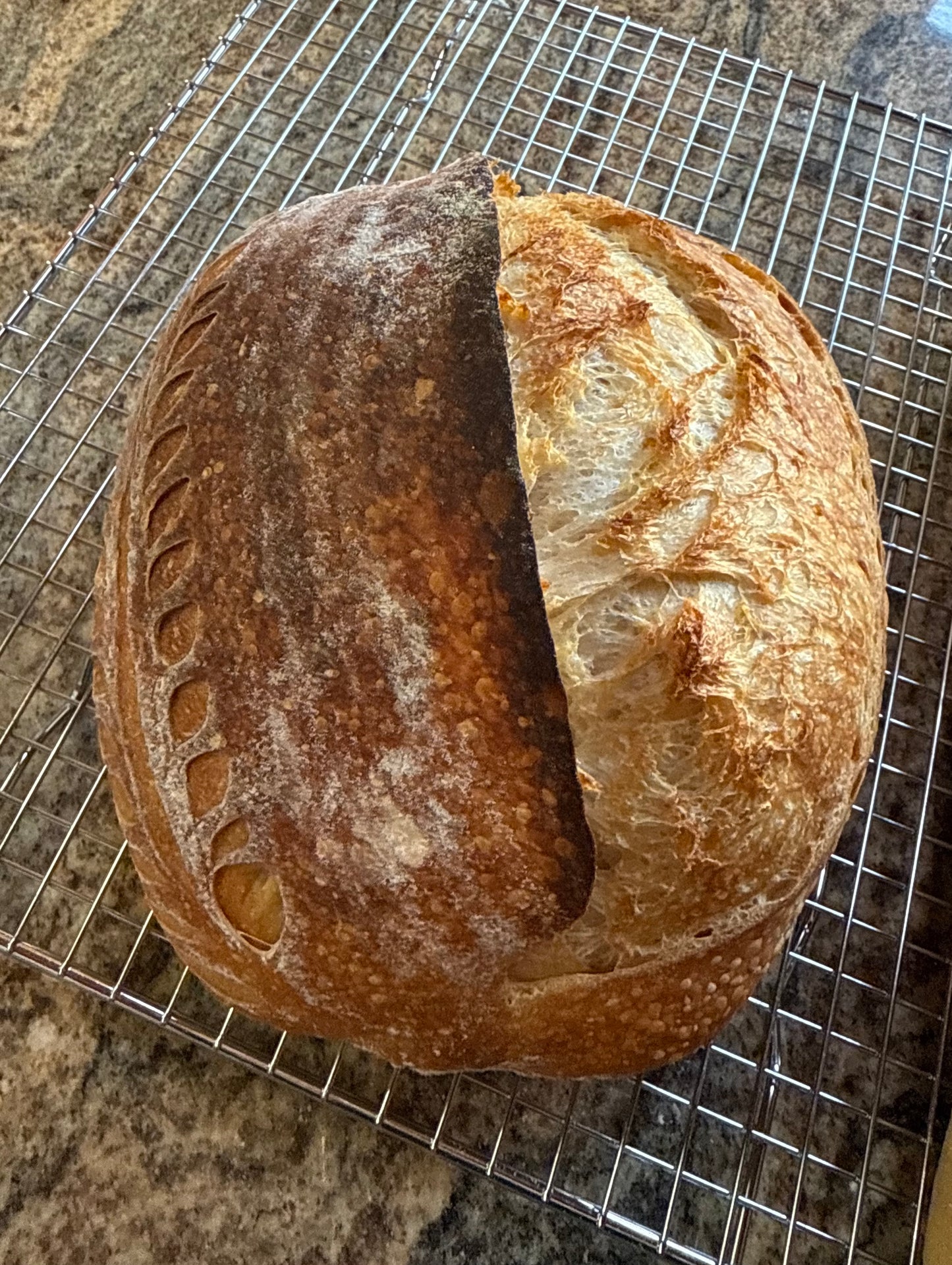 Sourdough Plain Loaf